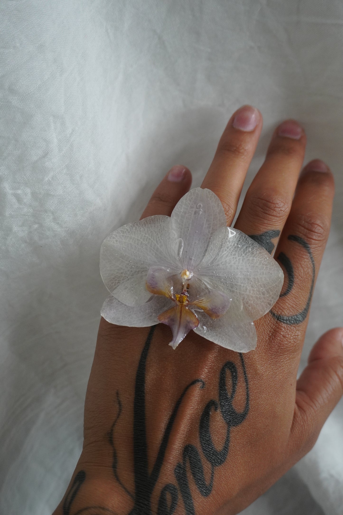 Bague pha