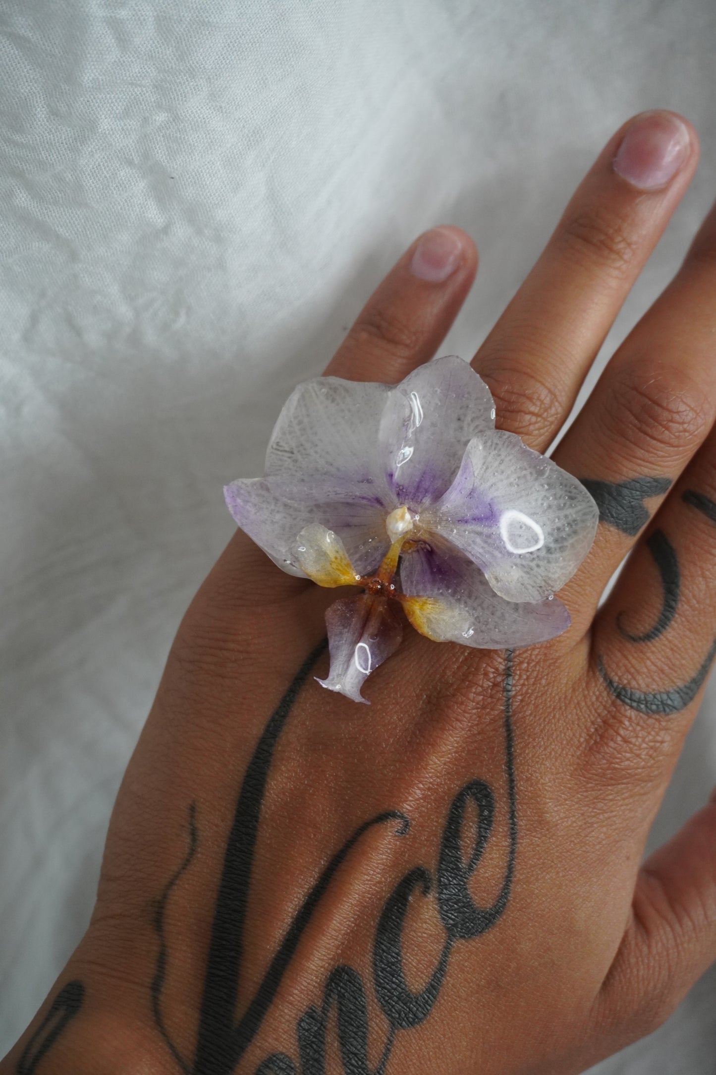 Bague pha