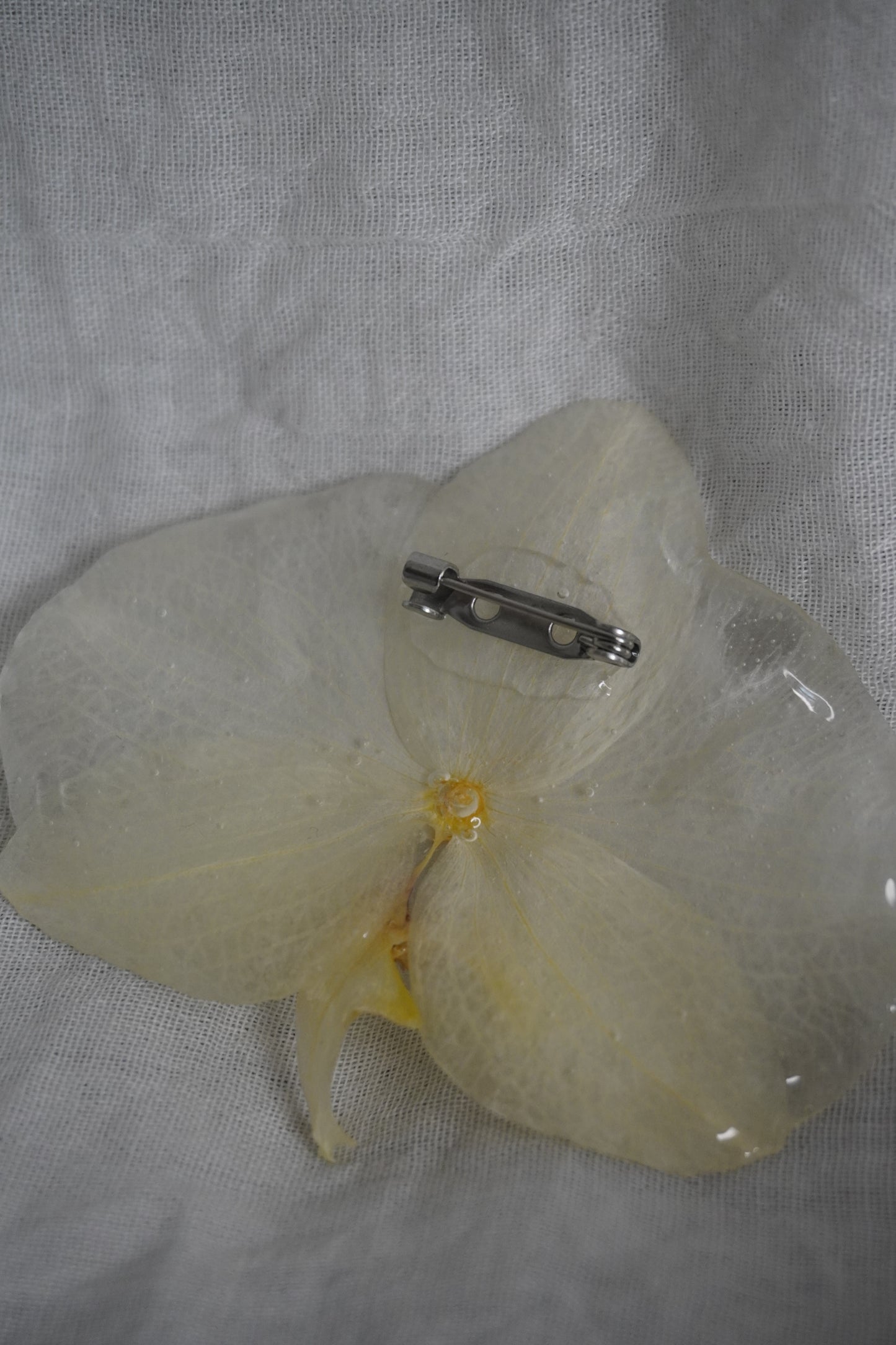 Broche pha