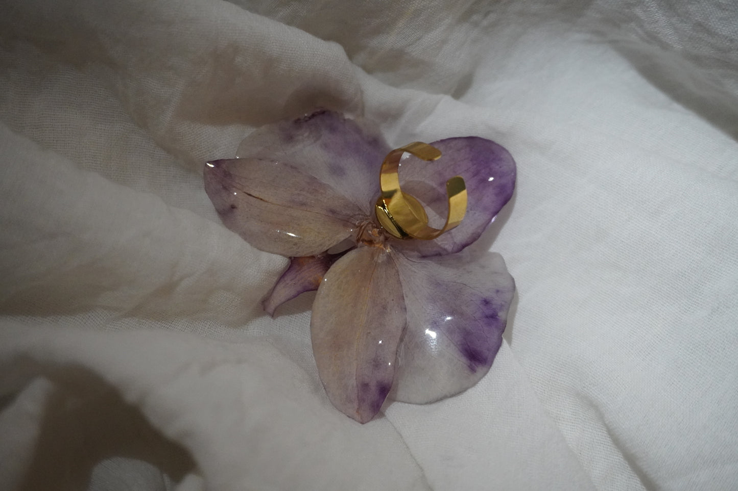 Bague pha