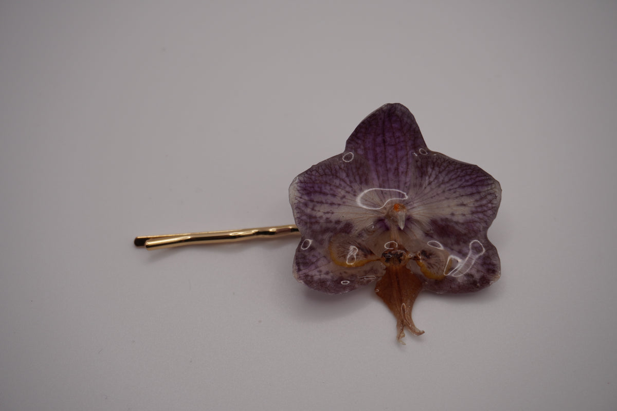 Barrette fifi