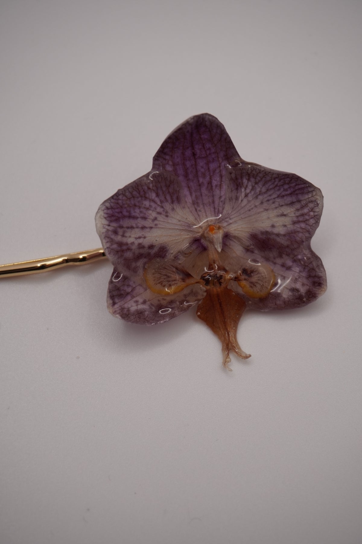 Barrette fifi