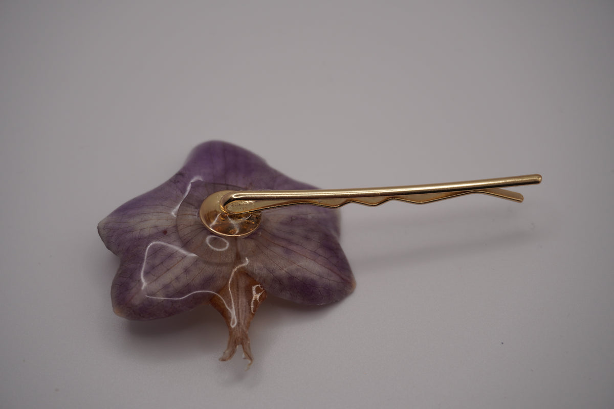 Barrette fifi