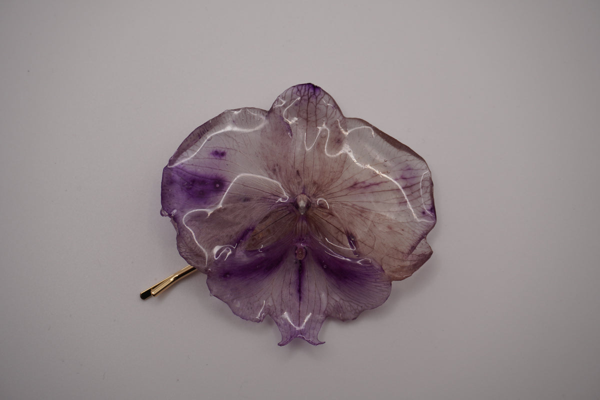 Barrette fifi