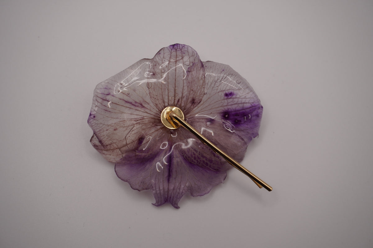 Barrette fifi