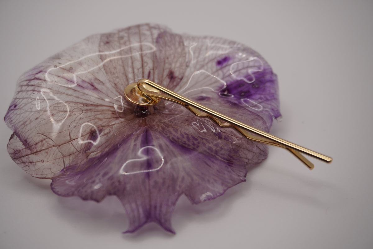 Barrette fifi