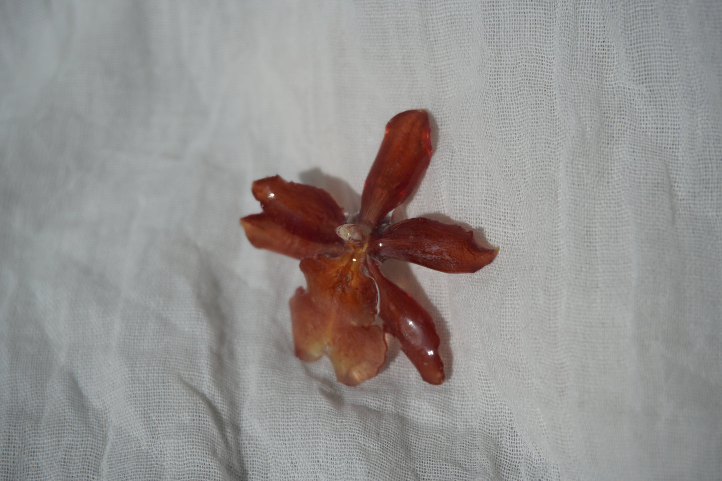 Broche Summer