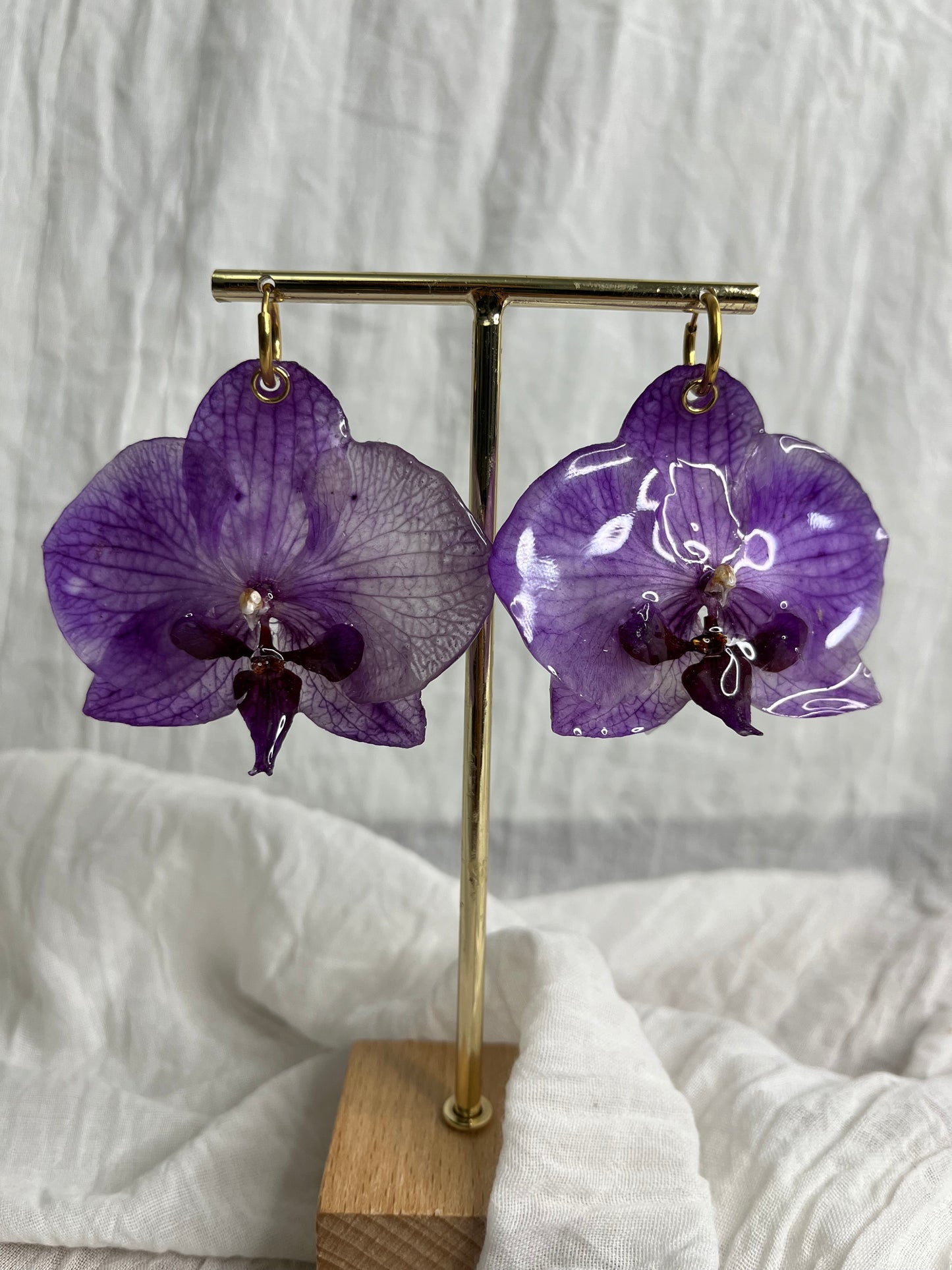 Boucle phalaenopsis