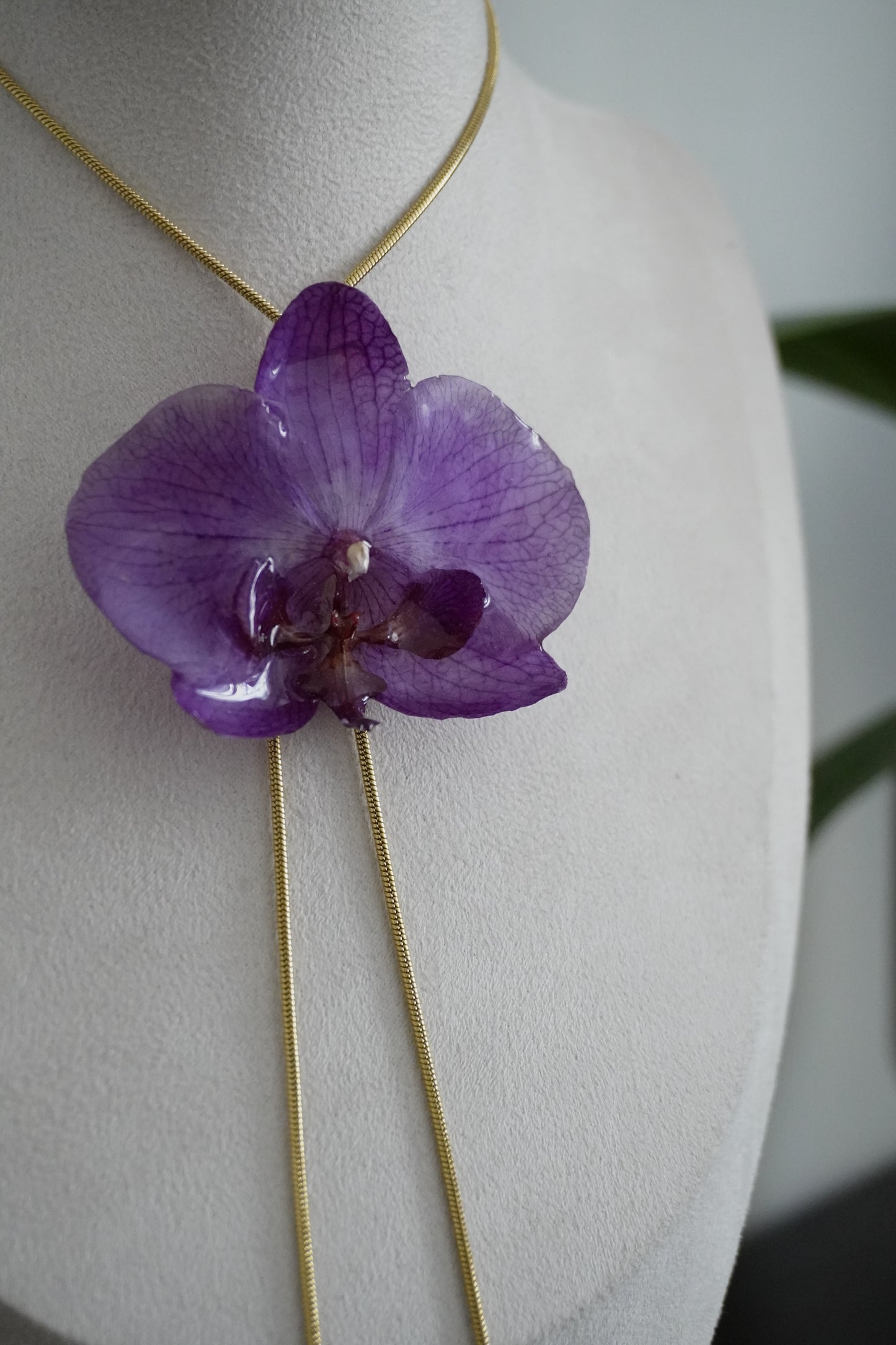 Collier coco