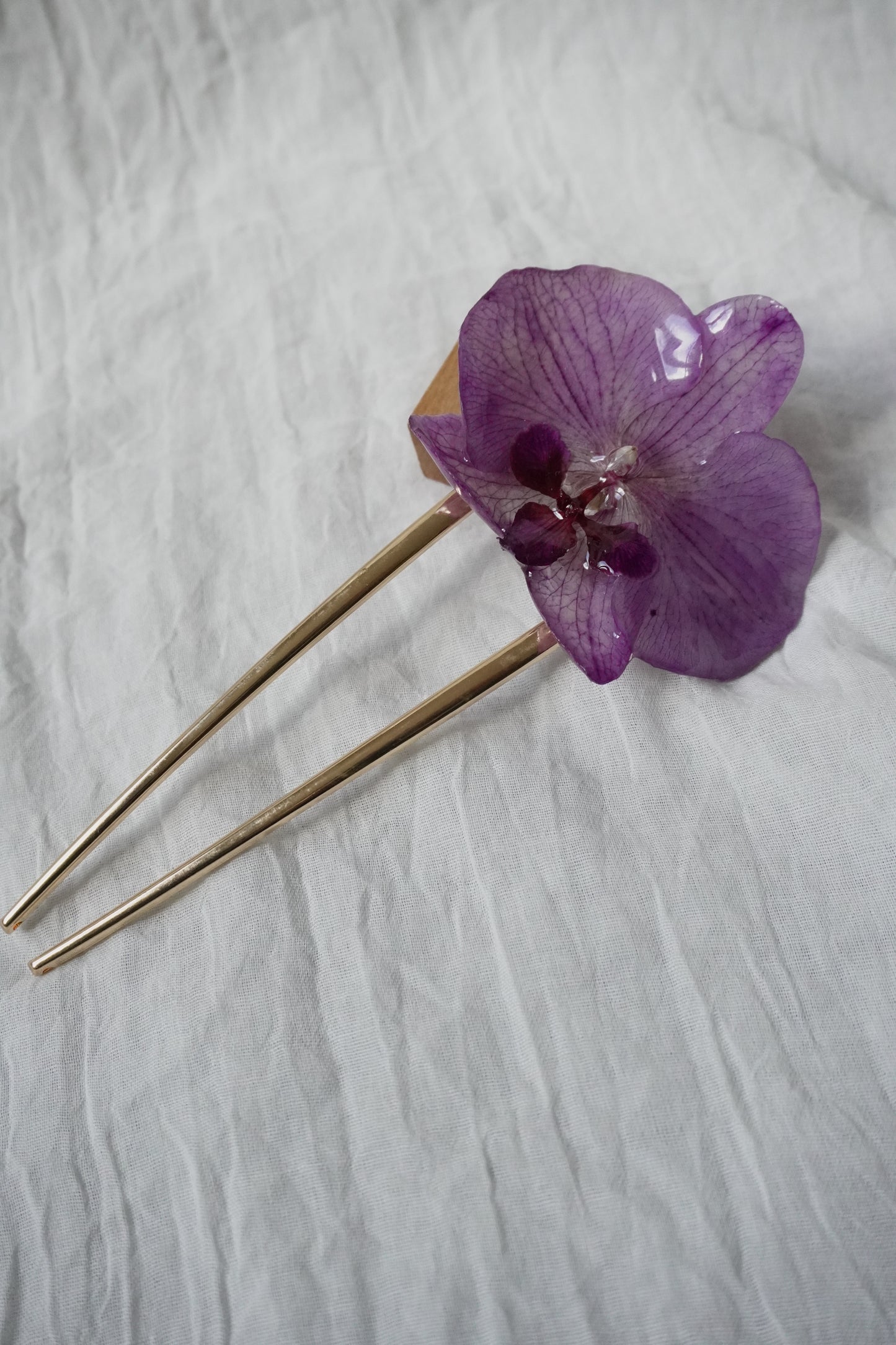Pique phalaenopsis
