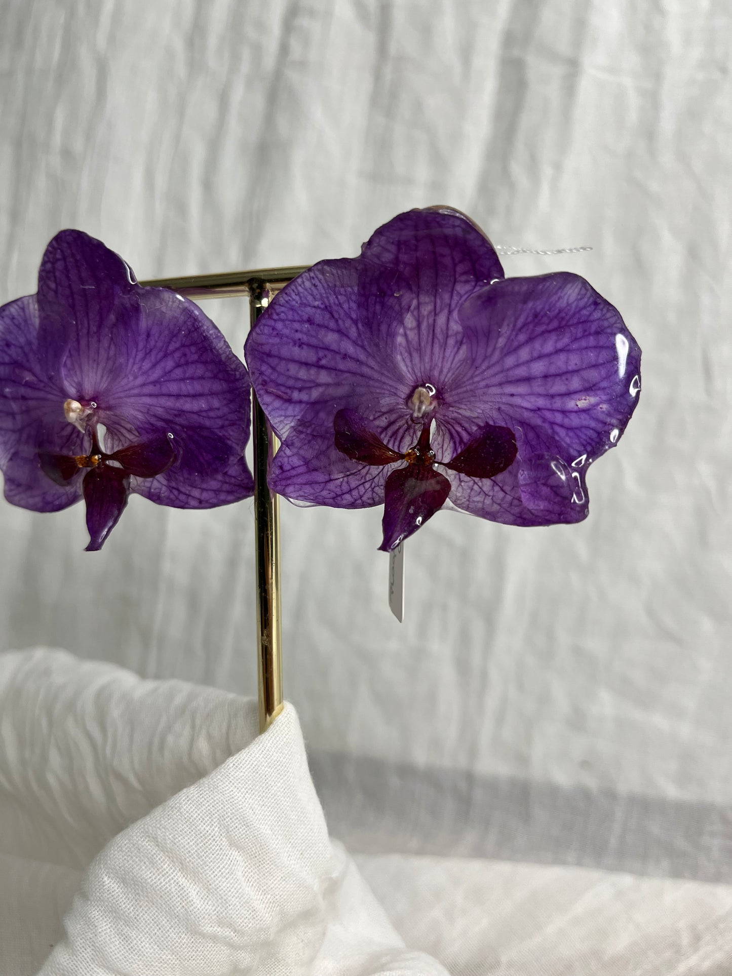 Boucle phalaenopsis