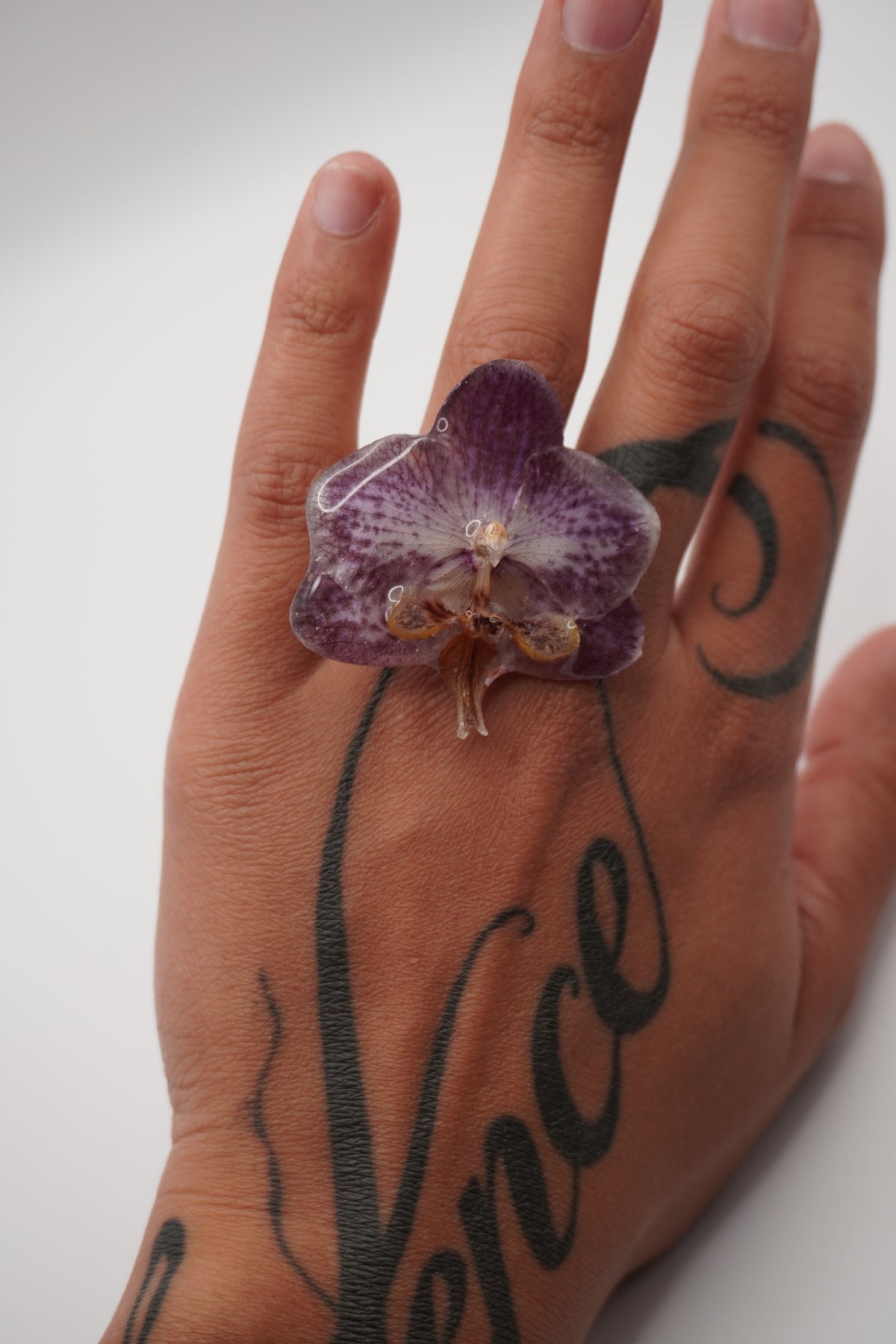 Bague pha