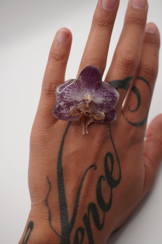 Bague pha