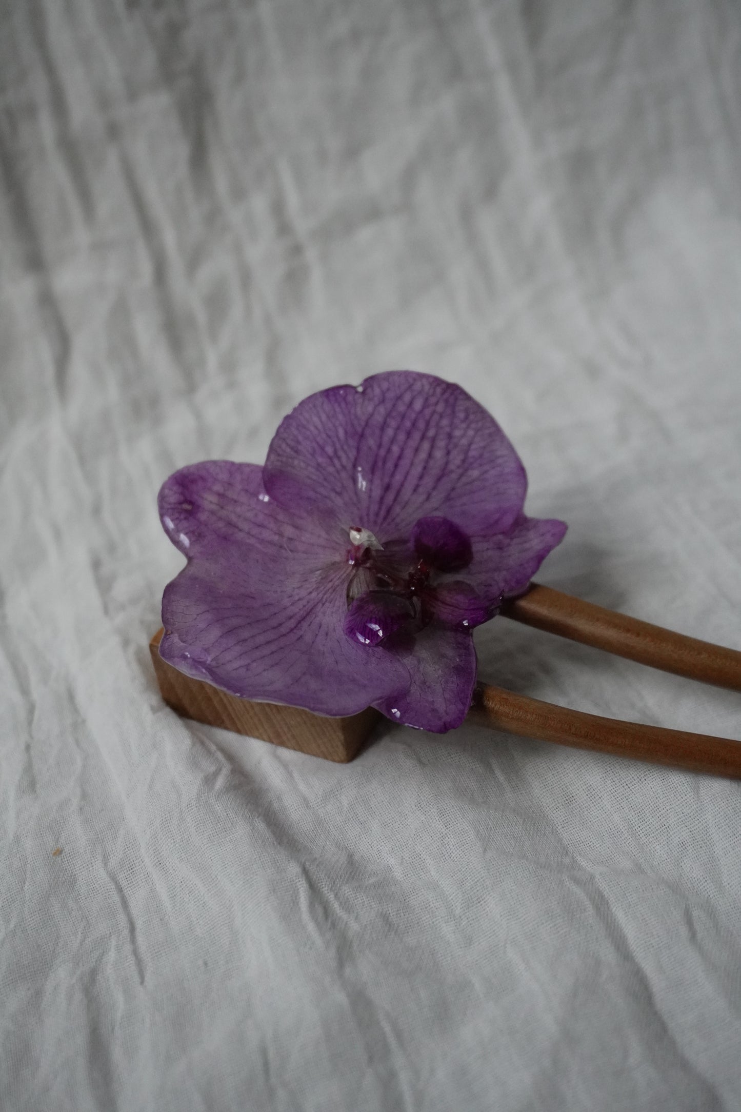 Pique phalaenopsis