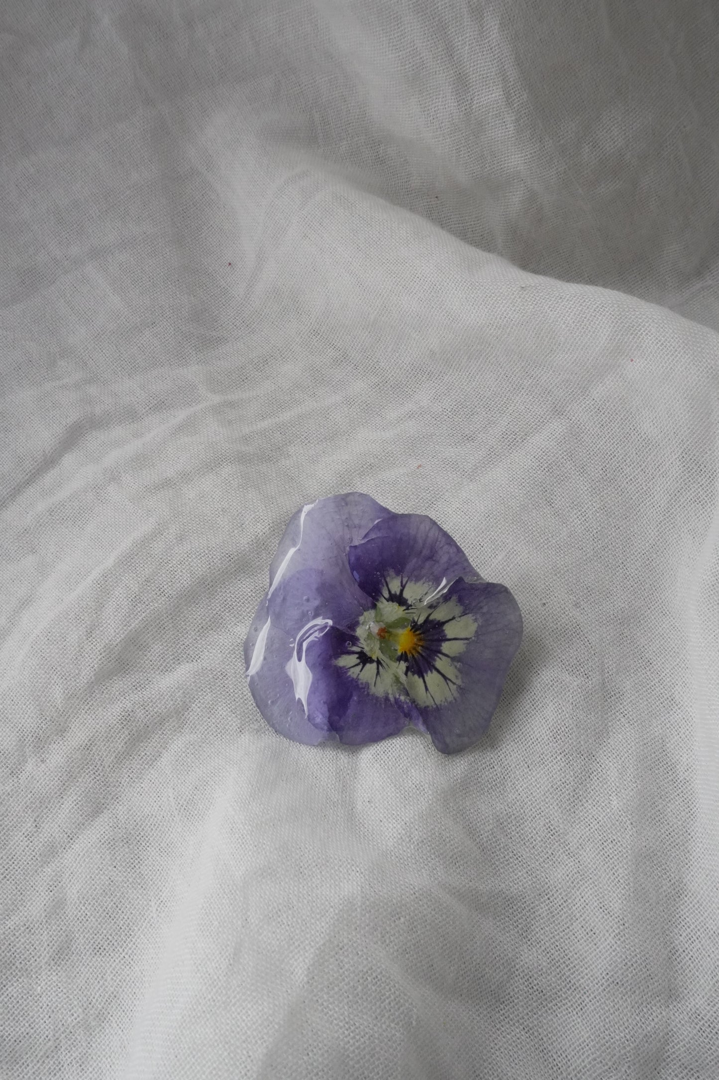 Broche violette