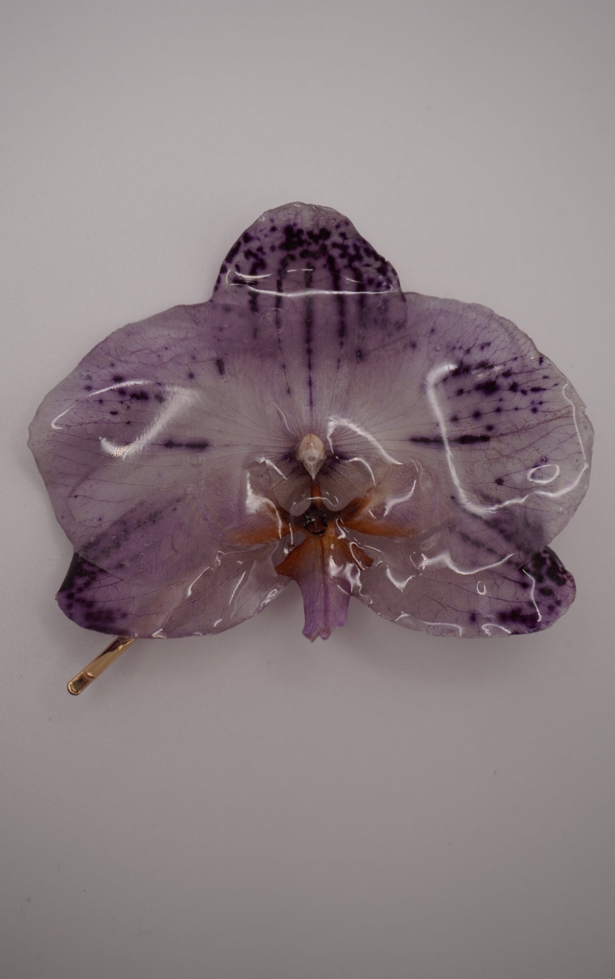 Barrette fifi