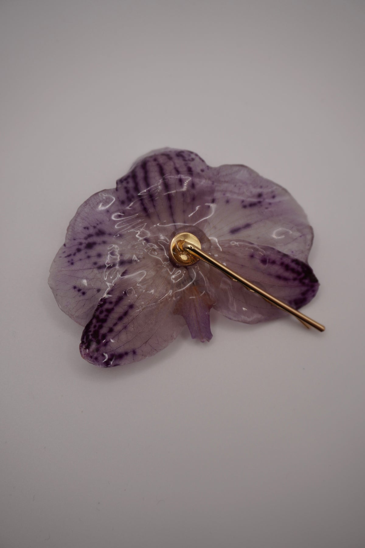 Barrette fifi